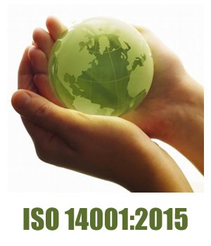 ISO 14001:2015 Icon