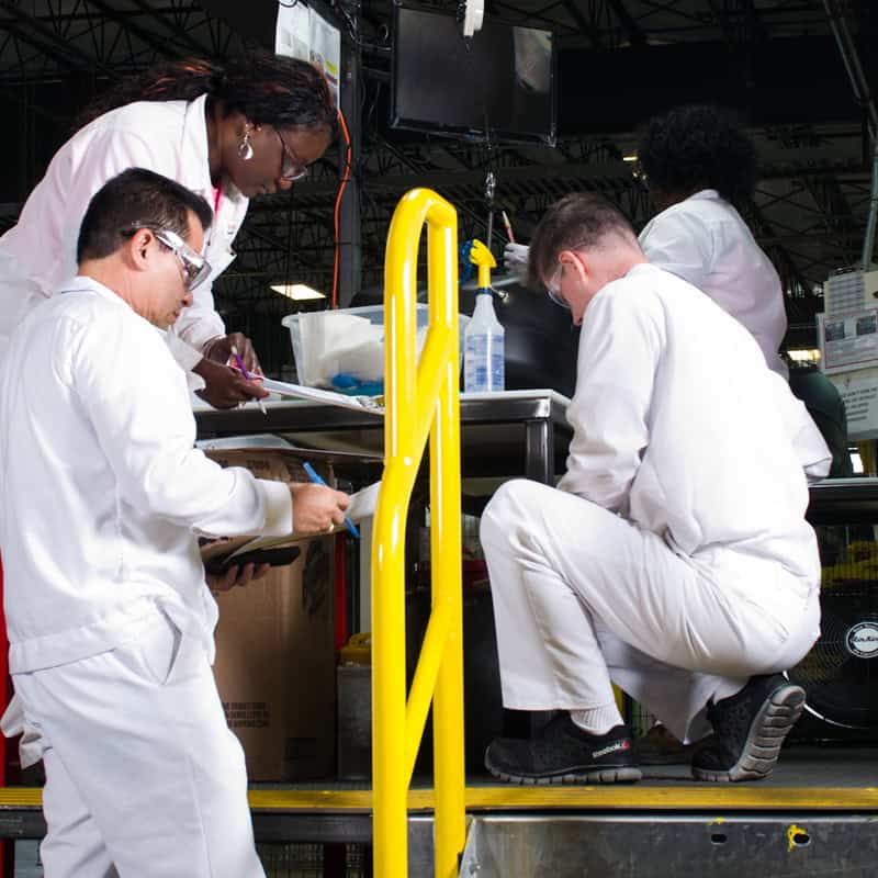 Employees working together